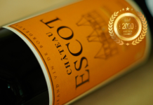 Chateau ESCOT at America Wines Paper