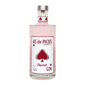 Gin AS de Picos Tropical at America Wine Awards 2021