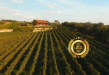 Tenuta Zai srl società agricola by America Wines Paper