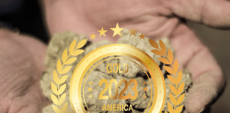 Tre Donne Gold Award America Awards 2023