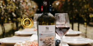 Taste the Legacy: Tenuta Vitagliano's Wines, Where Tradition Meets Innovation