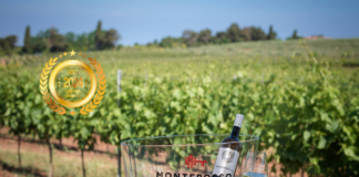 Monterosso d.o.o.: The Croatian Wine Treasure Captivating the US Market